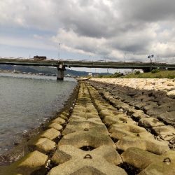 フラットフィッシュゲームNo.2