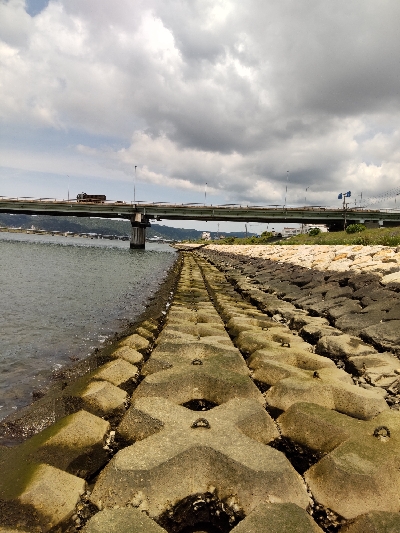 フラットフィッシュゲームNo.2