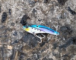 シーバスルアーにアジ