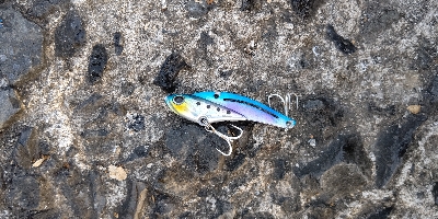 シーバスルアーにアジ