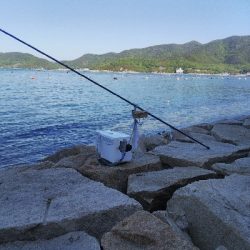 室津のキス釣り