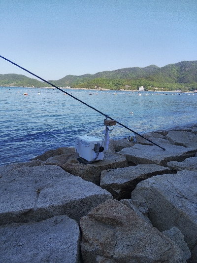 室津のキス釣り