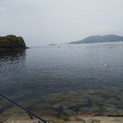 室津のキス釣り