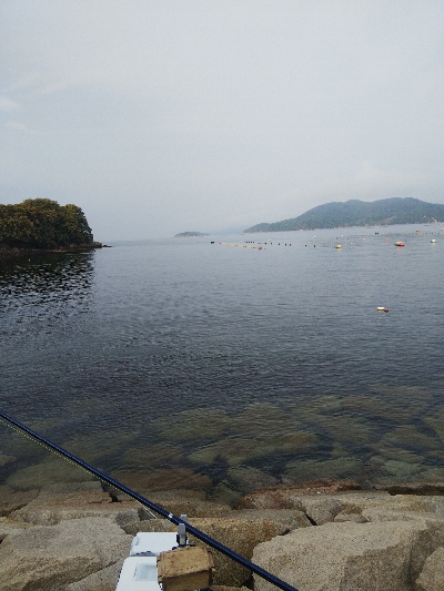 室津のキス釣り