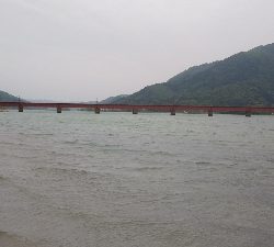 Vj丸呑みだったが…