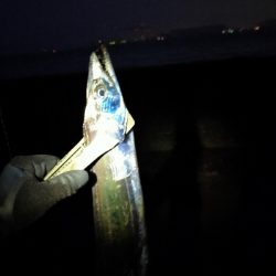 腹パンタチウオ