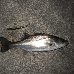 三密を避けて～