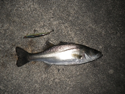 三密を避けて～