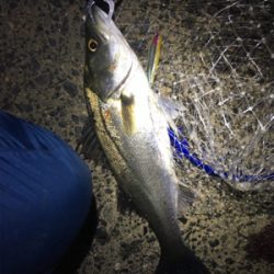 底バチパターン