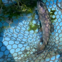 栃木市総合運動公園フィッシングフィールド