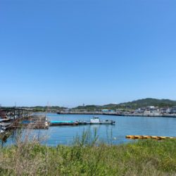 カレイ釣り、キス釣り