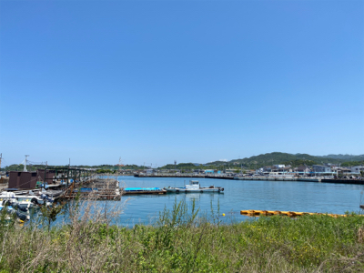 カレイ釣り、キス釣り