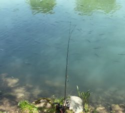 蛇尾川フィッシングエリア