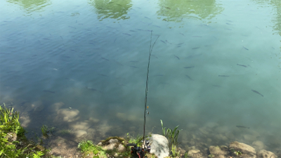 蛇尾川フィッシングエリア