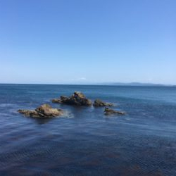 GW淡路島釣行❗️