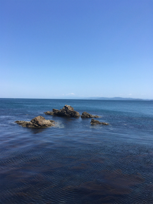 GW淡路島釣行❗️