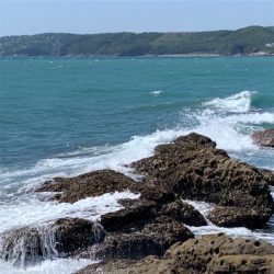 ロックショアで！