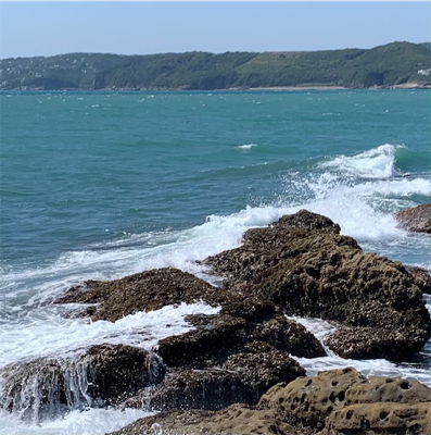 ロックショアで！