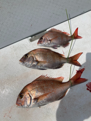 ボウズからの脱出