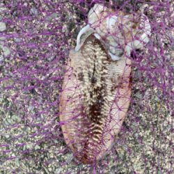 GW初日のリベンジマッチ!