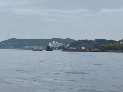 久里浜　山下丸　カサゴ