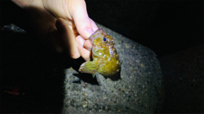 試し投げ釣行。