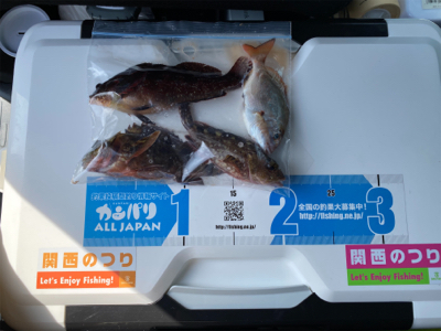 久しぶりの白灯で、キス釣り