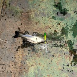 いいタイミング