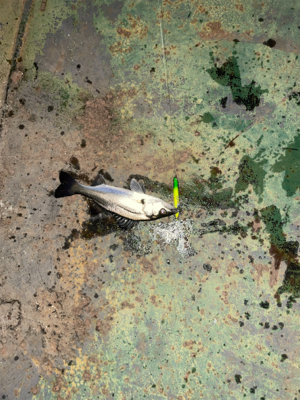 いいタイミング