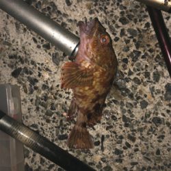 初めて行きました