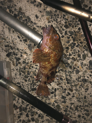 初めて行きました