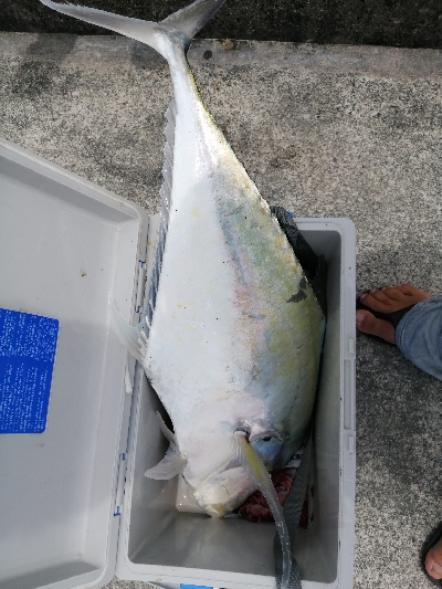 この大きさの馬面久しぶりに見た(笑)