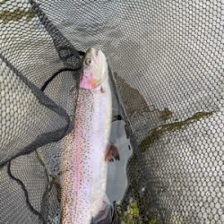 黒保根渓流フィッシング