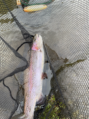 黒保根渓流フィッシング