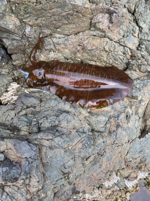 日本海の荒波を乗り越えて