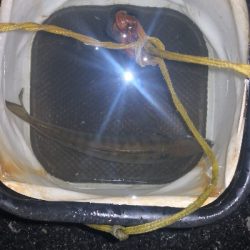 アジング練習 295