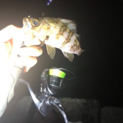 リベンジメバリング