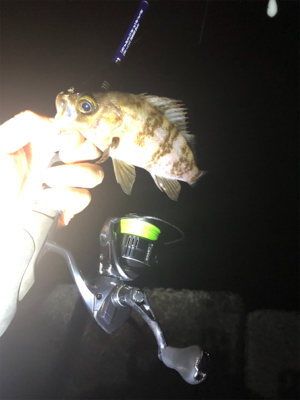 リベンジメバリング