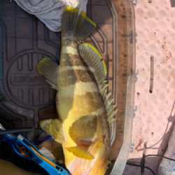 マイボートで大物ゲット!自己新記録!