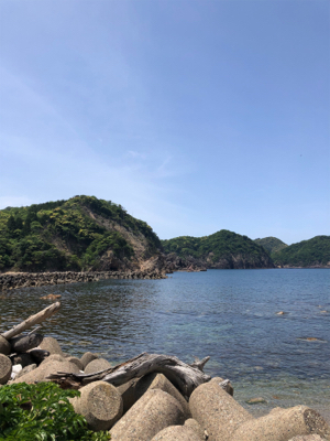 ロックフィッシュ20