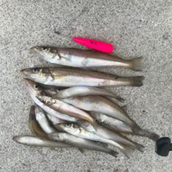 ちょーーい投げ