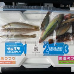 キス釣り、カサゴ釣り