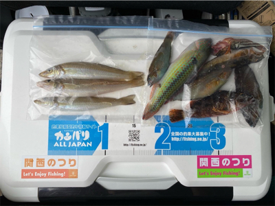 キス釣り、カサゴ釣り