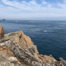 沖磯でヒラメとハタ！！！