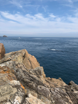 沖磯でヒラメとハタ！！！