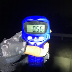 2日連続アオリイカ  GET＼(^o^)／