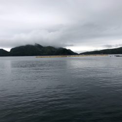 今年初エギング