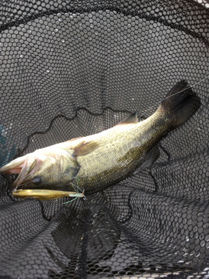 トップが熱かった！