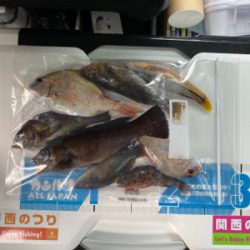 キス、五目釣り、