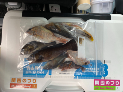 キス、五目釣り、